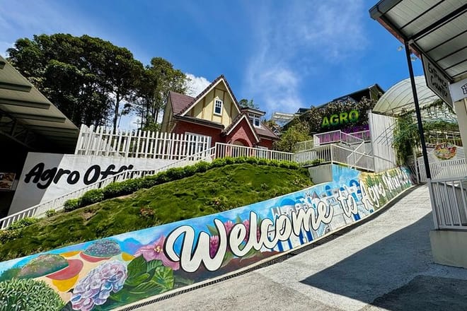 Cameron Highlands with Lunch Guided Day Tour (SIC/Shared Tour) 4
