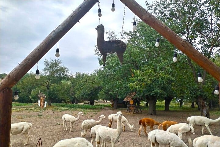 7 Days Private Azerbaijan Legendary Sights Tour