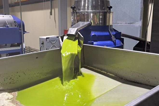 Olive Oil Mill Raki Distillery and Heraklion City Private Tour 2