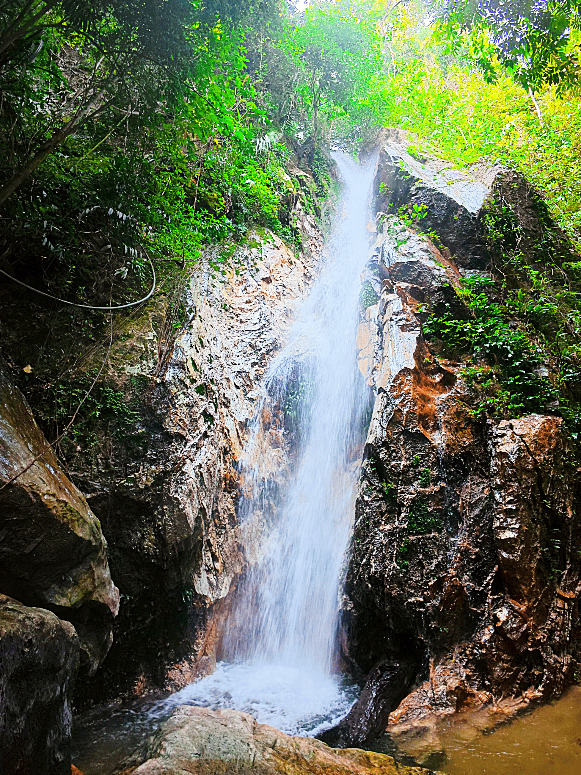 Majestic waterfall, Air Terjun Neelofa (Lata Gita), cascading over moss-covered rocks in a lush green rainforest.