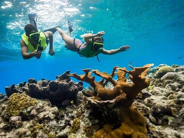 Snorkeling and Boat Ride Adventure in Montego Bay