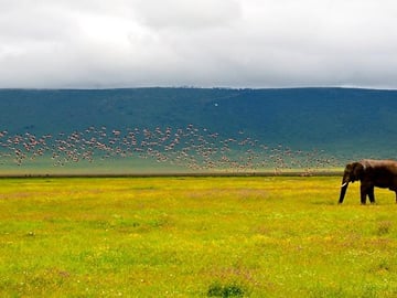 OVERNIGHT SAFARI TO AMBOSELI NATIONAL PARK FROM NAIROBI