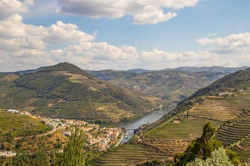 Private from Porto: Douro Valley Historical & Wine Tour