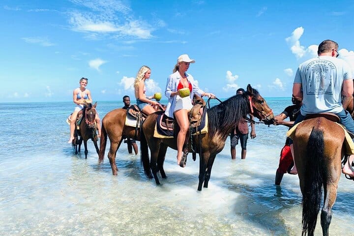 Caicos Islands Beach Horseback Riding Small-Group Tour 4