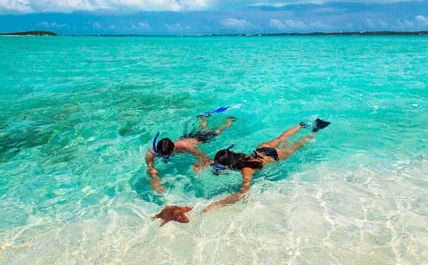 Multi-Day Catamaran and Rick's Cafe Tour from Montego Bay