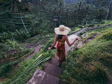Tegalalang Rice Terrace
