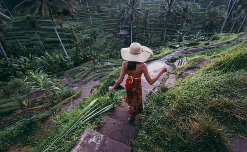 Private Day Tour of Ubud and Tanah Lot in Bali