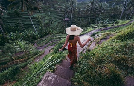 Private Day Tour of Ubud and Tanah Lot in Bali