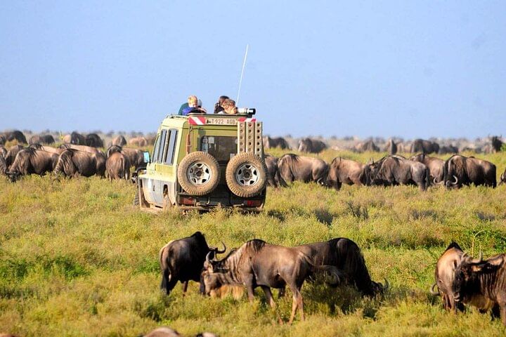 4-Day From Zanzibar Manyara, Serengeti & Ngorongoro Best Luxury Safari