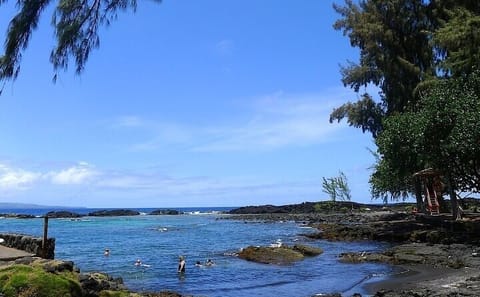 Hilo Waterfalls Tour and Shore Excursion from Big Island