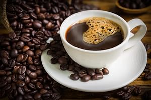 Tierra Amiga Artisanal and Organic Coffee Tour in San Marcos