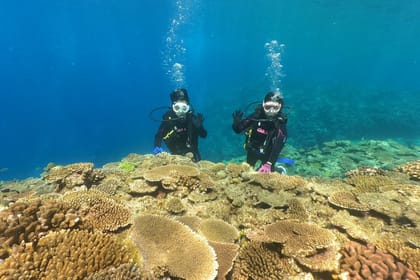 Okinawa: Discover SCUBA Diving 1 Dive at Minna, Sesoko or Motobu