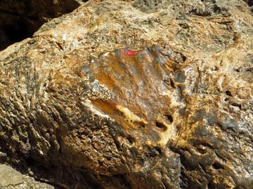 Guru Rinpoche palm mark