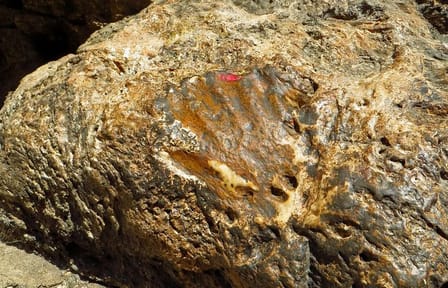 Escorted Full Day Pharping, Dakshinkali and Kirtipur Day Trip with Newari Lunch