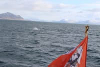 View from a whale watching boat sailing through Icelandic waters