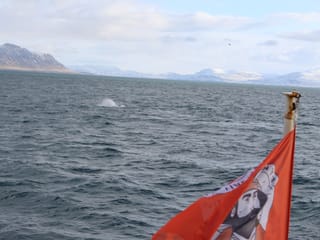 View from a whale watching boat sailing through Icelandic waters