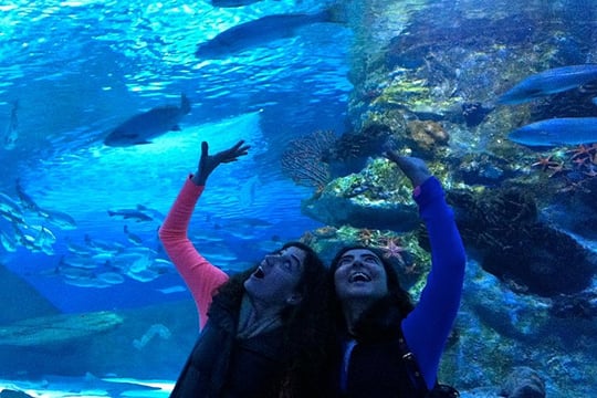 Antalya: Aquarium, Wax Museum with Hotel Transfer
