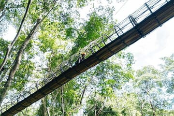 Ziplining Adventure in the Lush Landscapes of Thai Chang