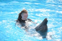 Premium 5 Minutes Dolphin Swimming Experience - Hurghada 10