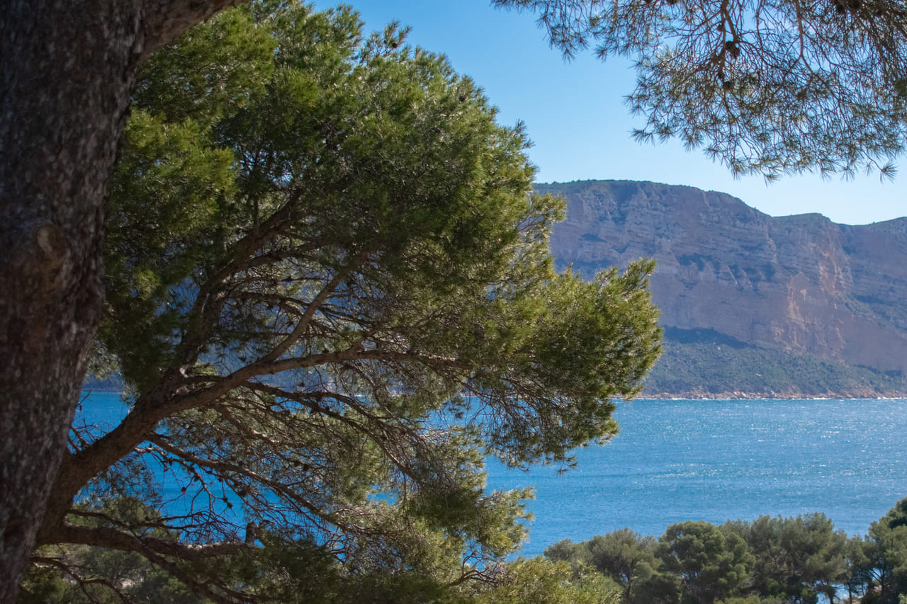 Hiking in the Calanques National Park from Luminy 2