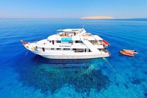 Luxury Snorkeling Trip to Ras Mohamed and White Island from Sharm
