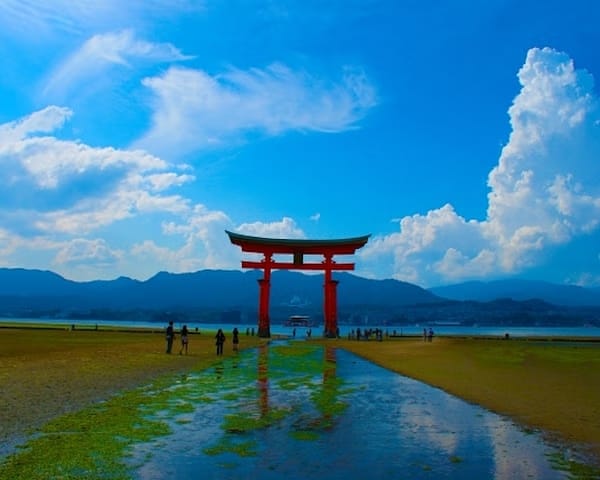 Private Sightseeing Walking Tour in Hiroshima with a Guide