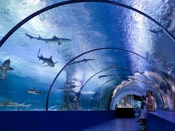 Antalya Aquarium and Fun Park Tour with Hotel Pickup