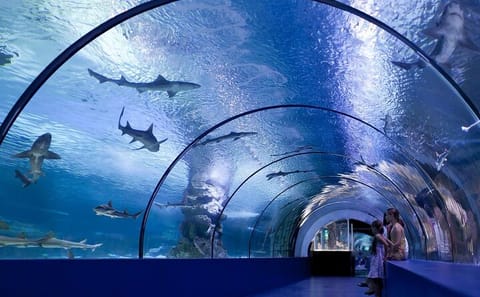 Antalya Aquarium and Fun Park Tour with Hotel Pickup