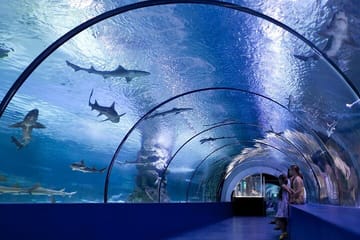 Antalya Aquarium and Fun Park Tour with Hotel Pickup