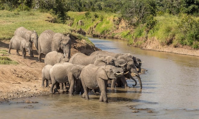 Nanyuki Overnight Safari - Ol Pejeta Conservancy  photo 5