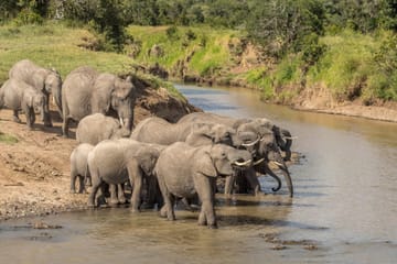 Nanyuki Overnight Safari Experience at Ol Pejeta Conservancy