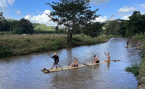 Chiang Mai: Waterfall, Elephant Sanctuary and Bamboo Rafting