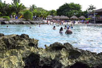  Sea Lion Discovery at Cozumel  5