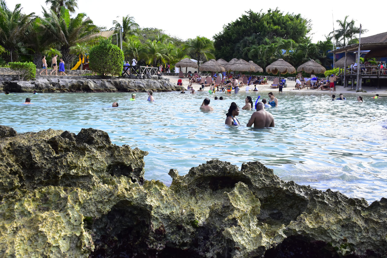  Sea Lion Discovery at Cozumel  5