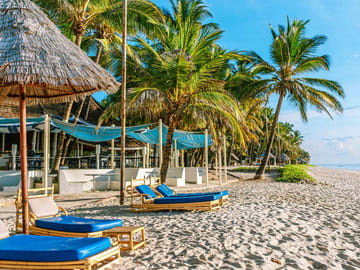 8 Days Bush and Beach Experience