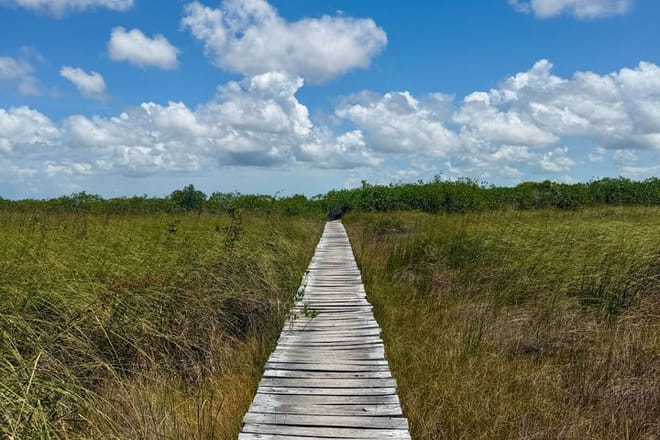 Muyil Where the jungle meets the Sea of the Maya