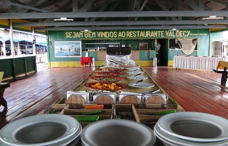 Amazon Dolphin And Meeting Of The Waters With Native Village Tour
