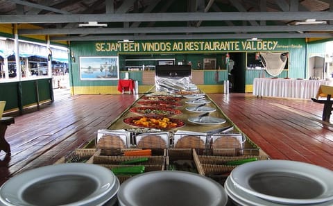 Amazon Dolphin and Meeting of Waters Tour in Manaus