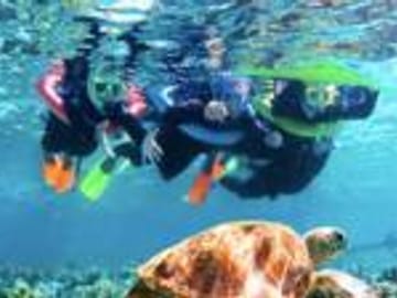 Roatan rich marine life