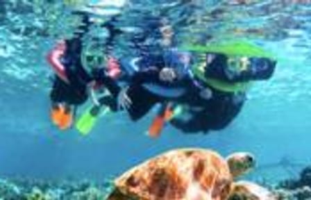 Snorkeling Adventure at Shipwreck and Blue Channel in Coxen Hole