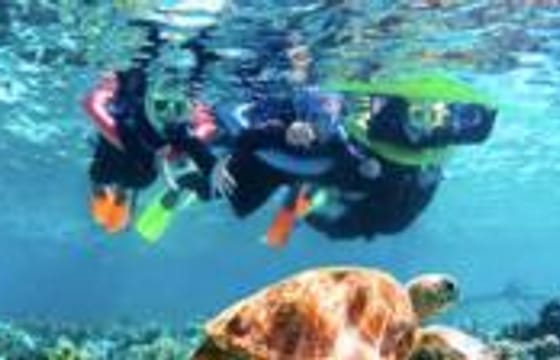 3 Stops Snorkel Adventure: Shipwreck, Sea Stars & Blue Channel