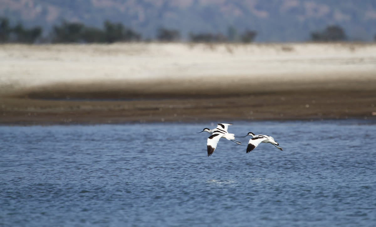 19 Days Mera Peak Climbing & Expedition – One Life-Changing Himalayan Adventure