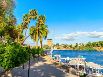 Private Felucca Ride and Banana Island Tour in Luxor