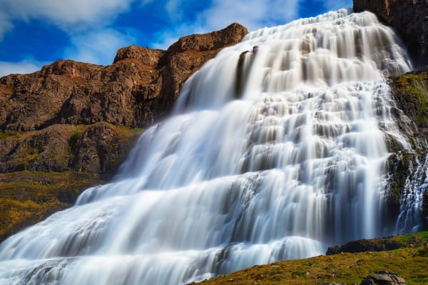 Dynjandi Waterfall & Iceland’s Oldest Bookstore - Westfjords Cruise Tour