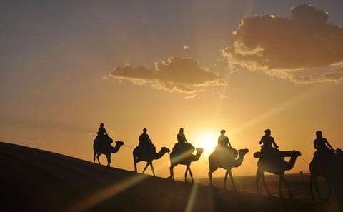 3-Day Marrakech to Merzouga Desert Safari with Camel Rides