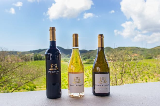 Private Algarve Wine Tour : 2 Wineries, Tastings & Tapas  10