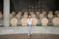 Mendoza Wine Route A Full Day Private Excursion 2