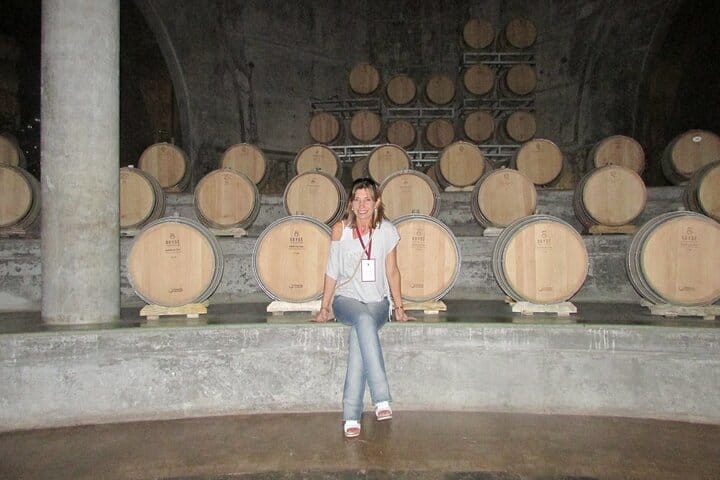 Mendoza Wine Route A Full Day Private Excursion 2