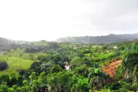 Safari of Fields - Punta Cana 10