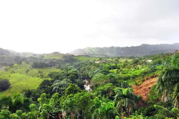 Safari of Fields - Punta Cana 10